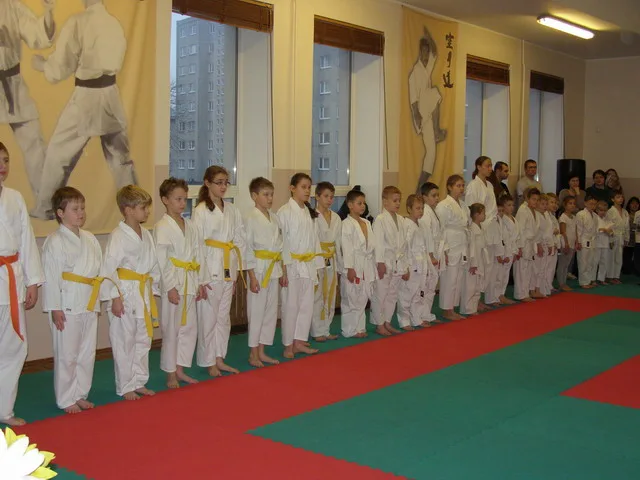 Экзамен на пояса — 12.12.2015