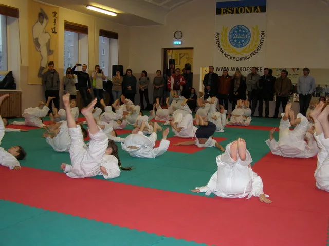 Экзамен на пояса — 12.12.2015