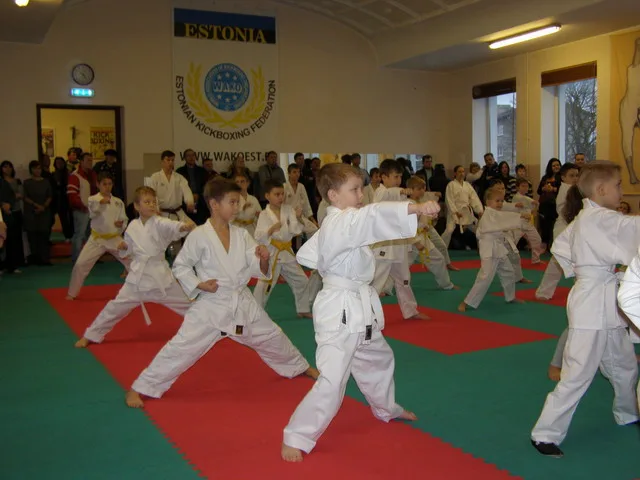 Экзамен на пояса — 12.12.2015