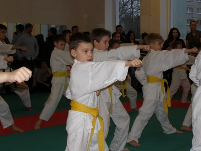 Экзамен на пояса — 12.12.2015