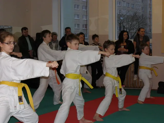 Экзамен на пояса — 12.12.2015