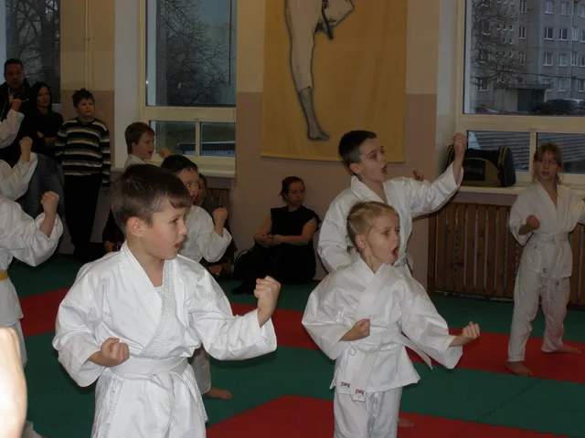 Экзамен на пояса — 12.12.2015