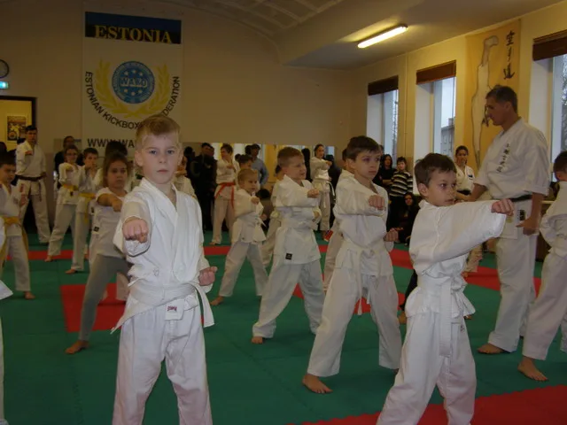Экзамен на пояса — 12.12.2015