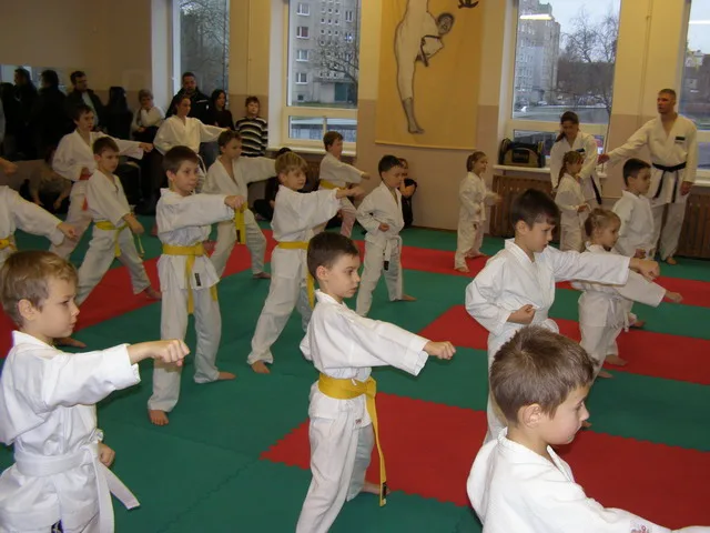 Экзамен на пояса — 12.12.2015