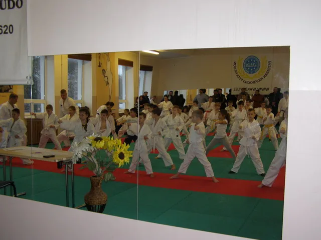 Экзамен на пояса — 12.12.2015