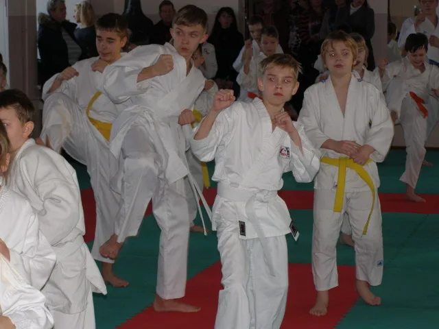 SK BUDO vööeksam — 10.12.2016