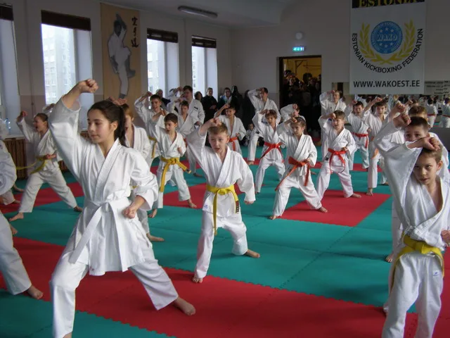 SK BUDO vööeksam — 10.12.2016