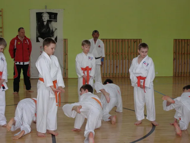 Семинар Садошиге Като-шихана — 23–24.04.2016