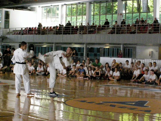 Летние тренировки — 30.06–27.08.2016