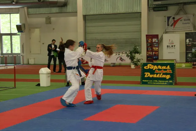 Baltic Grand Prix — Budo Cup, 23.05.2015