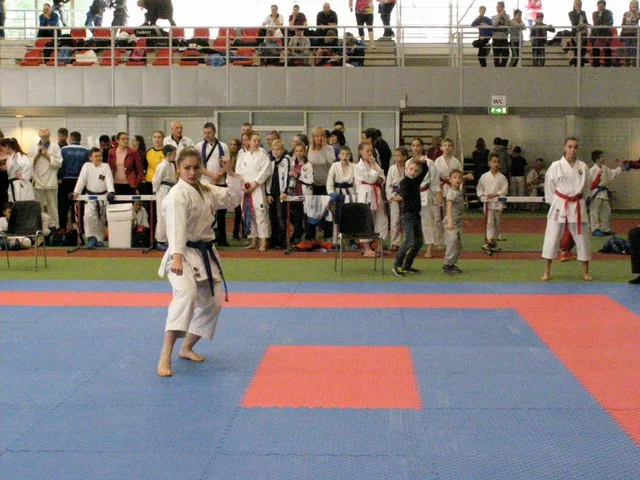 10 Baltic Grand Prix — 22 Budo Cup 2016. WKF-i reeglid