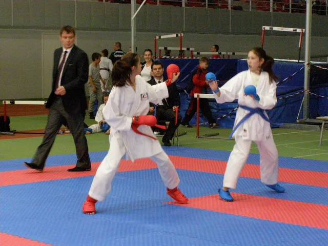 10 Baltic Grand Prix — 22 Budo Cup 2016. WKF-i reeglid