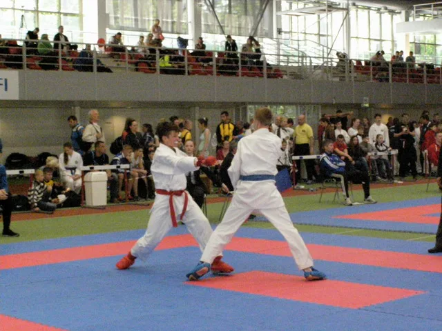 10 Baltic Grand Prix — 22 Budo Cup 2016. WKF-i reeglid