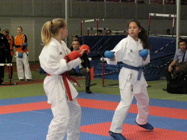 10 Baltic Grand Prix — 22 Budo Cup 2016. WKF-i reeglid
