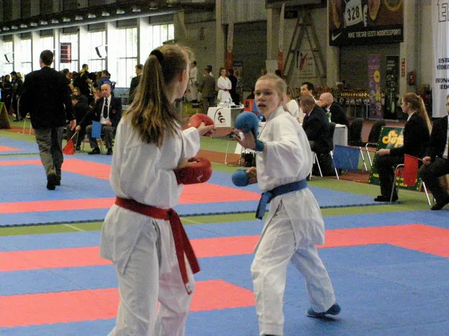 10 Baltic Grand Prix — 22 Budo Cup 2016. WKF-i reeglid