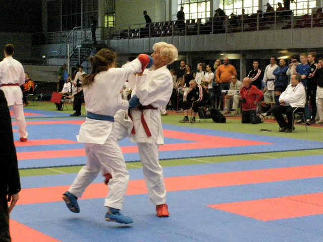 10 Baltic Grand Prix — 22 Budo Cup 2016. WKF-i reeglid