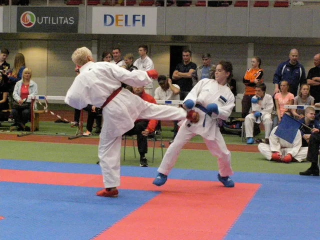 10 Baltic Grand Prix — 22 Budo Cup 2016. WKF-i reeglid