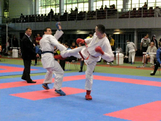 10 Baltic Grand Prix — 22 Budo Cup 2016. WKF-i reeglid