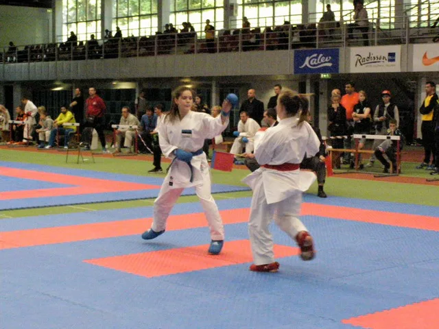 10 Baltic Grand Prix — 22 Budo Cup 2016. WKF-i reeglid