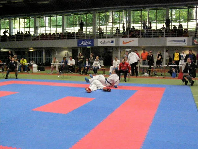 10 Baltic Grand Prix — 22 Budo Cup 2016. WKF-i reeglid