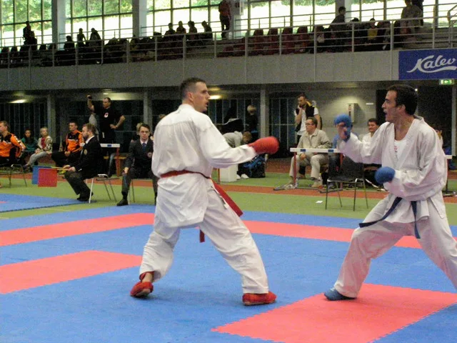 10 Baltic Grand Prix — 22 Budo Cup 2016. WKF-i reeglid