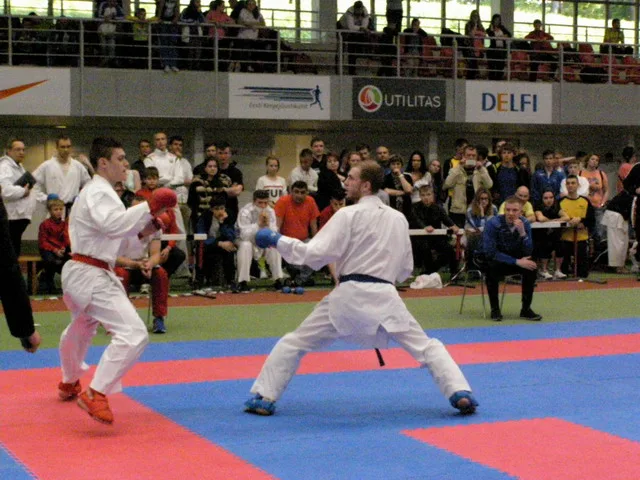 10 Baltic Grand Prix — 22 Budo Cup 2016. WKF-i reeglid