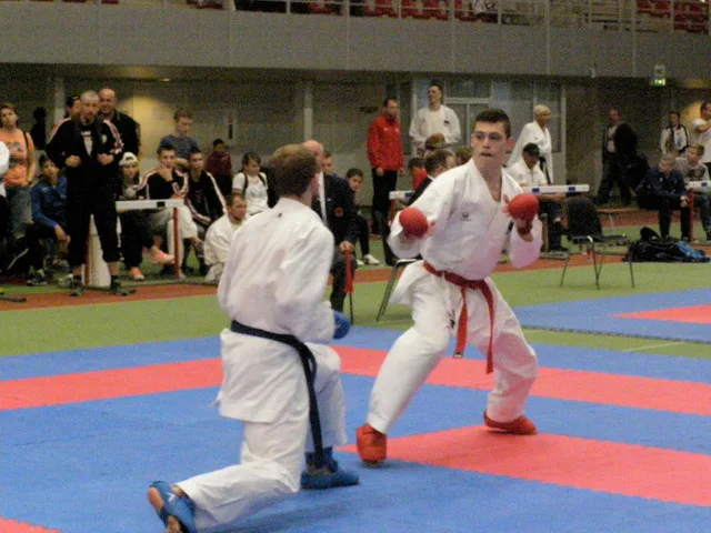 10 Baltic Grand Prix — 22 Budo Cup 2016. WKF-i reeglid