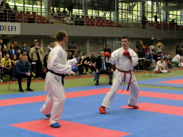 10 Baltic Grand Prix — 22 Budo Cup 2016. WKF-i reeglid
