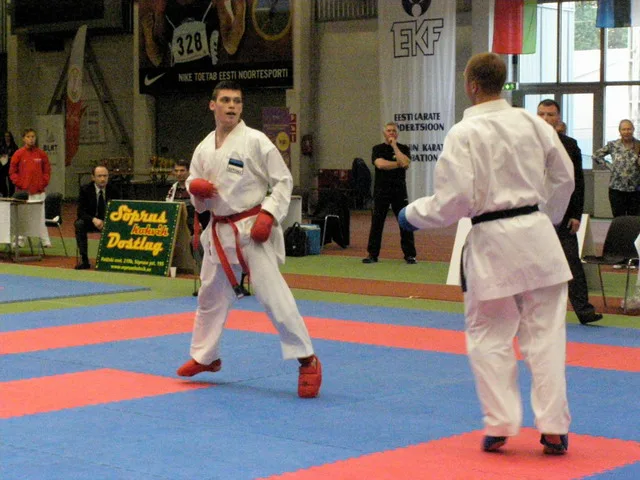 10 Baltic Grand Prix — 22 Budo Cup 2016. WKF-i reeglid