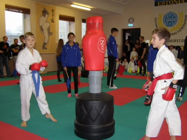 Klubivõistlused — 28.11.2015