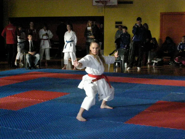 Falco Cup — 21.11.2015