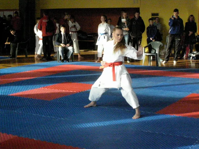 Falco Cup — 21.11.2015