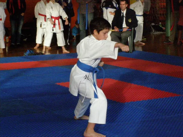 Falco Cup — 21.11.2015