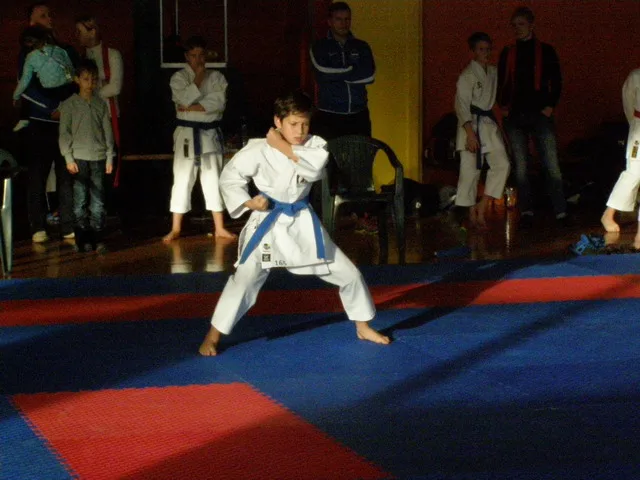 Falco Cup — 21.11.2015