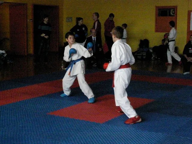 Falco Cup — 21.11.2015