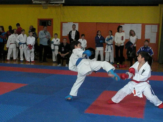 Falco Cup — 21.11.2015