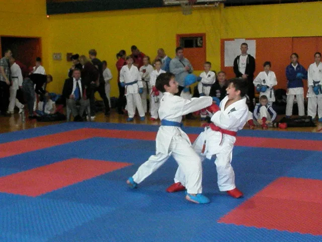 Falco Cup — 21.11.2015