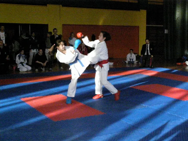 Falco Cup — 21.11.2015