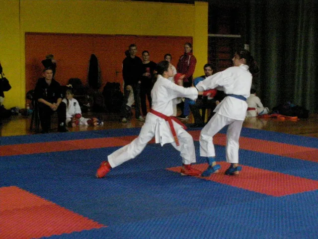 Falco Cup — 21.11.2015
