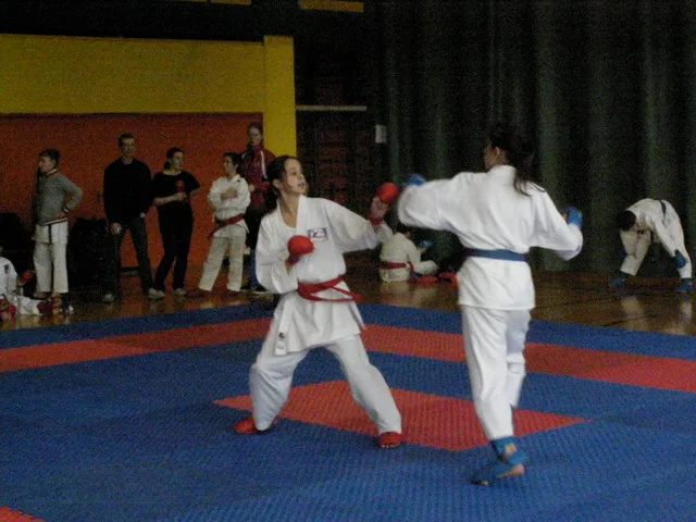 Falco Cup — 21.11.2015