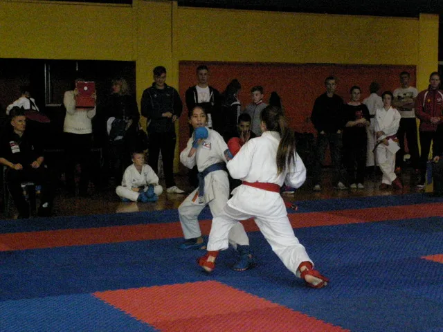 Falco Cup — 21.11.2015
