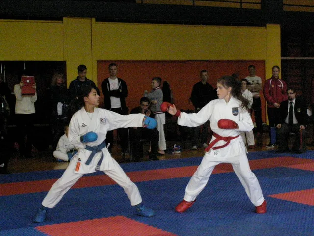 Falco Cup — 21.11.2015