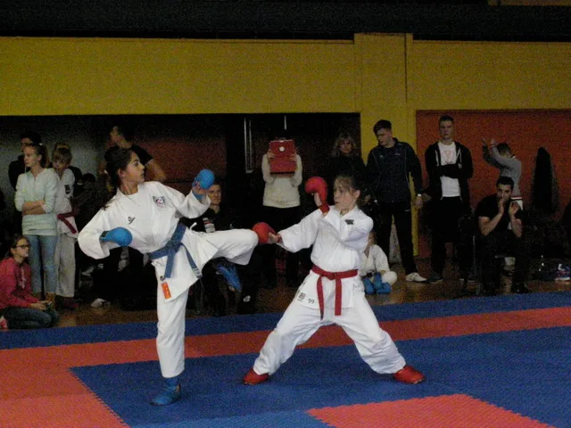 Falco Cup — 21.11.2015