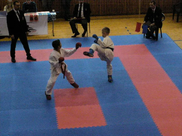 Falco Cup — 21.11.2015