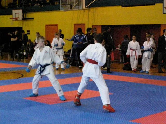 Falco Cup — 21.11.2015