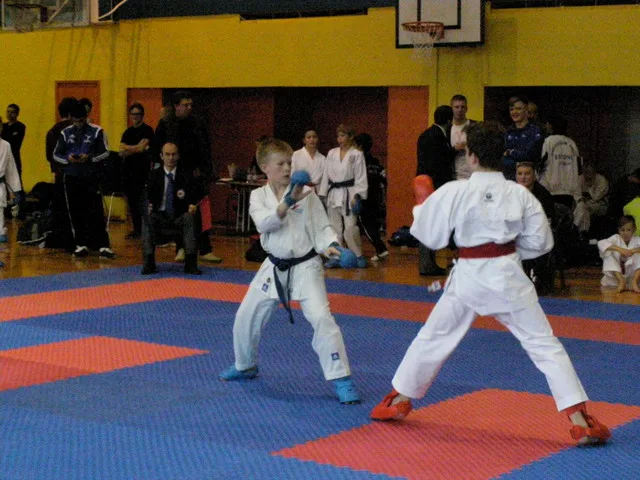 Falco Cup — 21.11.2015