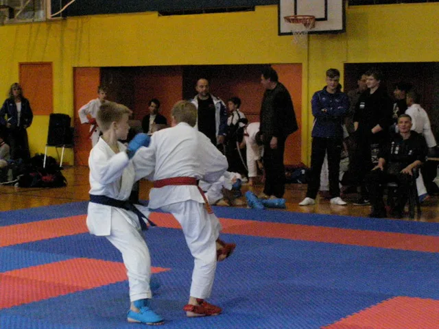 Falco Cup — 21.11.2015