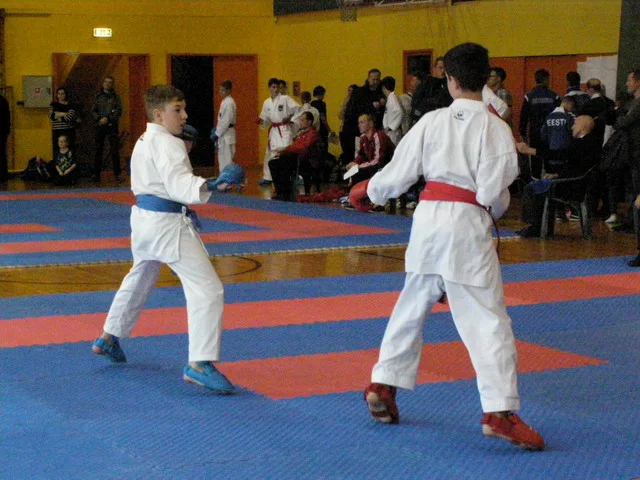 Falco Cup — 21.11.2015
