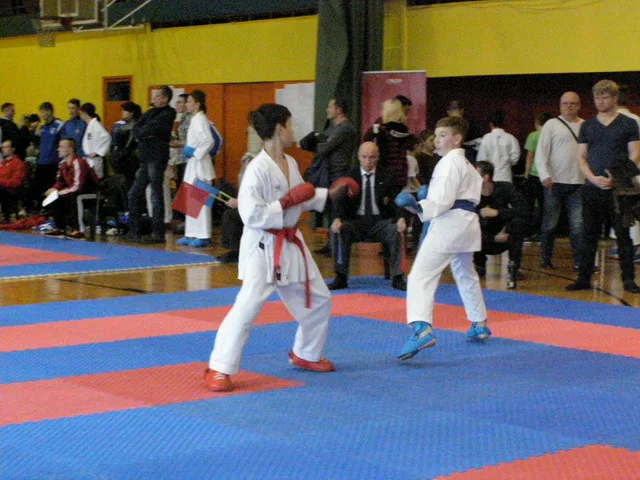 Falco Cup — 21.11.2015