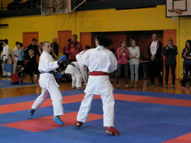Falco Cup — 21.11.2015